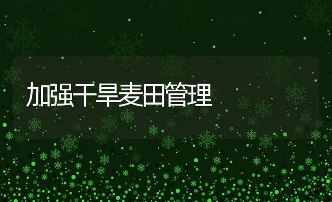 加强干旱麦田管理 | 瓜果种植