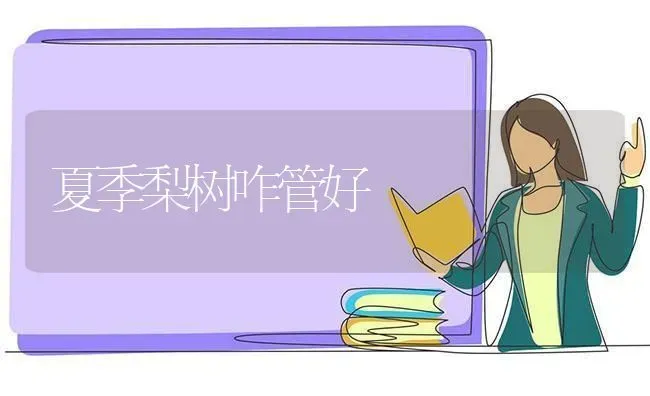 夏季梨树咋管好 | 瓜果种植