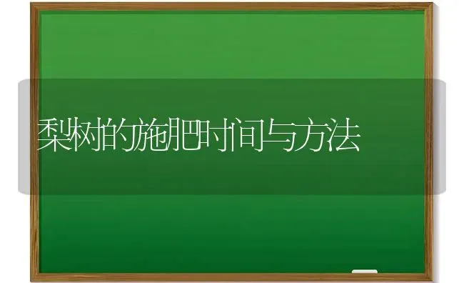 梨树的施肥时间与方法 | 种植肥料施肥