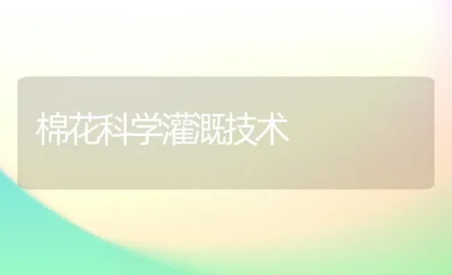 棉花科学灌溉技术 | 粮油作物种植