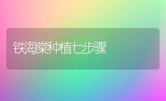铁海棠种植七步骤 | 植物种植百科