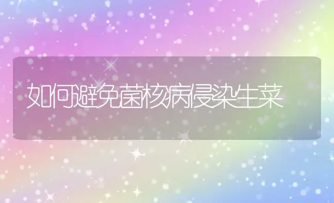 如何避免菌核病侵染生菜 | 蔬菜种植