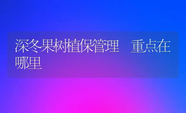 深冬果树植保管理 重点在哪里 | 瓜果种植