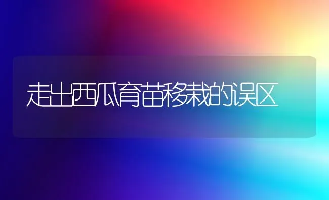 走出西瓜育苗移栽的误区 | 瓜果种植