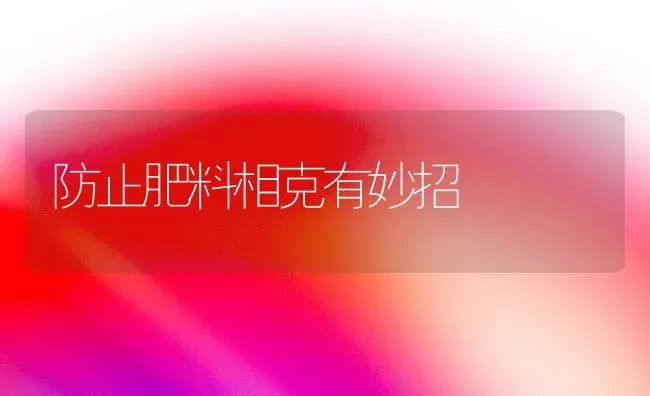 防止肥料相克有妙招 | 种植肥料施肥