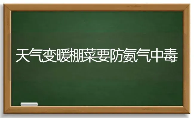 天气变暖棚菜要防氨气中毒 | 蔬菜种植