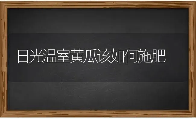 日光温室黄瓜该如何施肥 | 种植肥料施肥