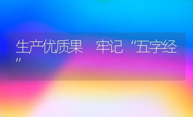 生产优质果 牢记“五字经” | 瓜果种植