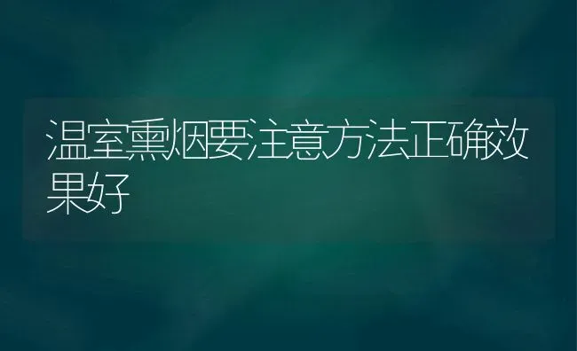 温室熏烟要注意方法正确效果好 | 瓜果种植