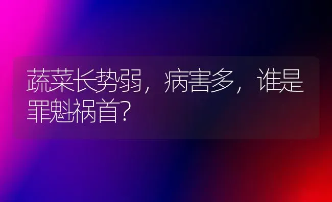 蔬菜长势弱，病害多，谁是罪魁祸首？ | 蔬菜种植