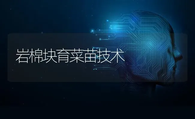 岩棉块育菜苗技术 | 蔬菜种植