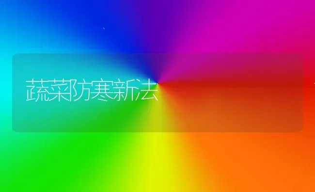 蔬菜防寒新法 | 蔬菜种植