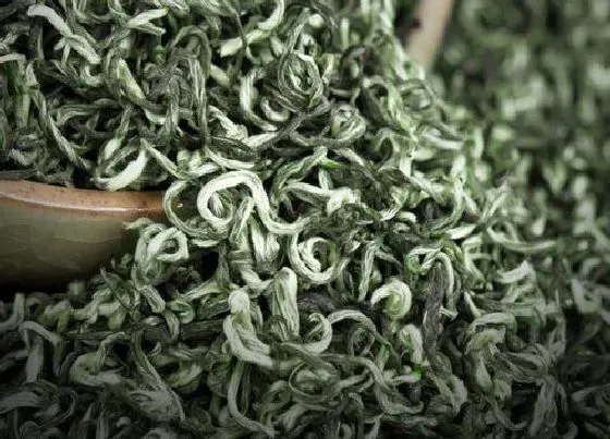 植物产地|碧螺春是哪里产的