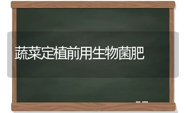 蔬菜定植前用生物菌肥 | 蔬菜种植