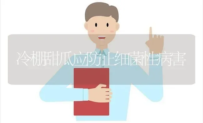 冷棚甜瓜应防止细菌性病害 | 瓜果种植