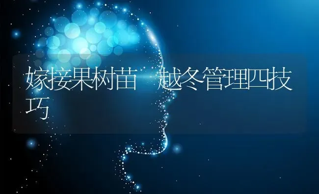 嫁接果树苗 越冬管理四技巧 | 瓜果种植