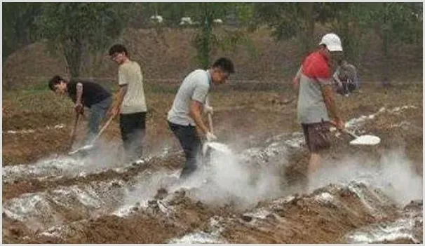 生石灰对农业生产有什么作用？都有哪些注意事项？ | 种植技术
