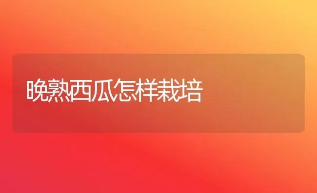 晚熟西瓜怎样栽培 | 瓜果种植