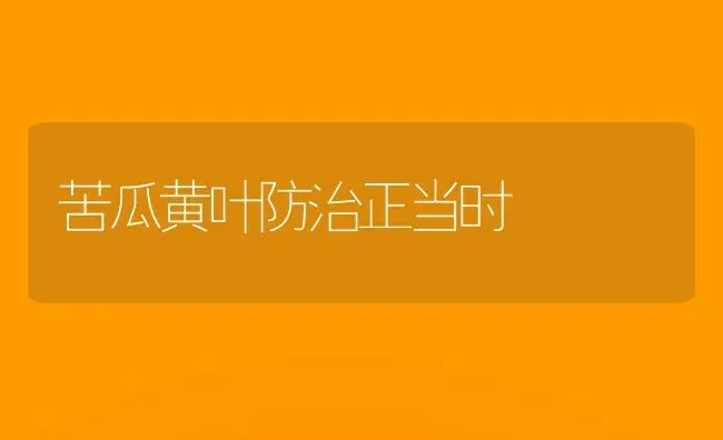 苦瓜黄叶防治正当时 | 蔬菜种植