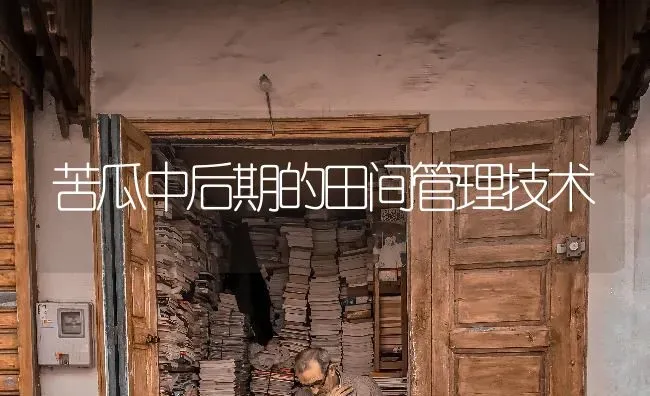 苦瓜中后期的田间管理技术 | 蔬菜种植