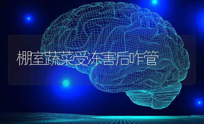 棚室蔬菜受冻害后咋管 | 蔬菜种植