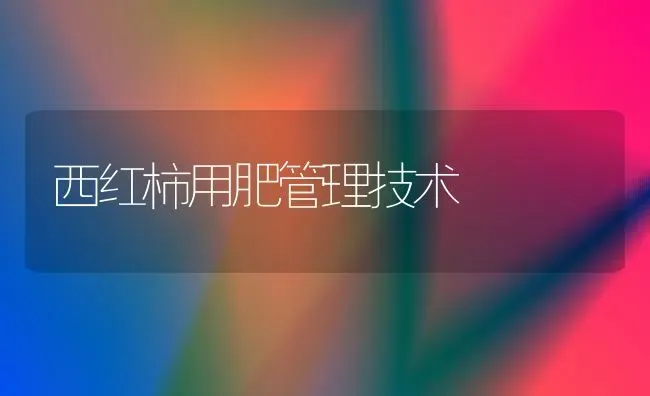 西红柿用肥管理技术 | 蔬菜种植