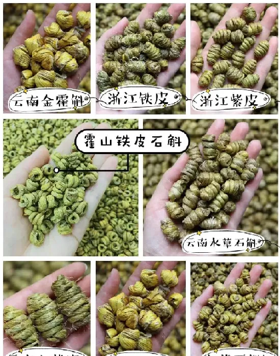 植物产地|铁皮石斛的产地哪里好（全国霍山石斛哪里是正宗最好）