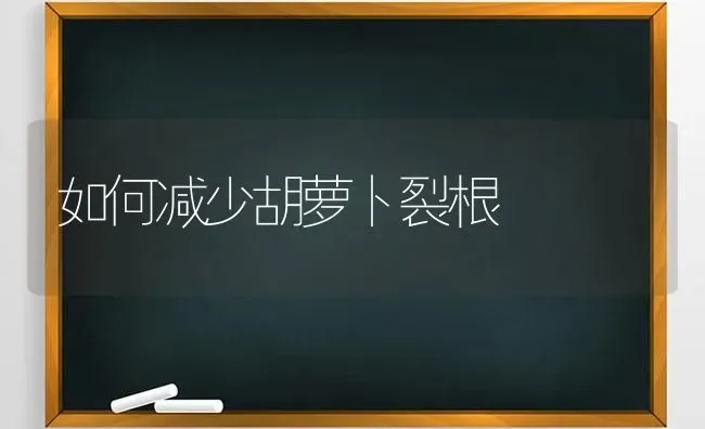 如何减少胡萝卜裂根 | 蔬菜种植