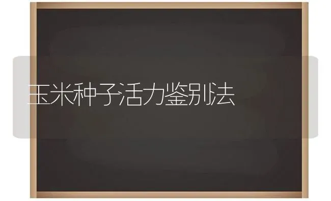 玉米种子活力鉴别法 | 粮油作物种植