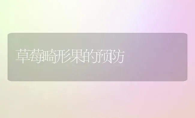 草莓畸形果的预防 | 瓜果种植