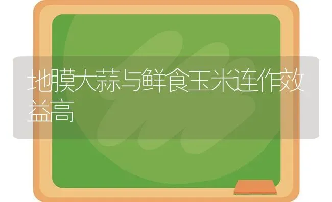 地膜大蒜与鲜食玉米连作效益高 | 粮油作物种植