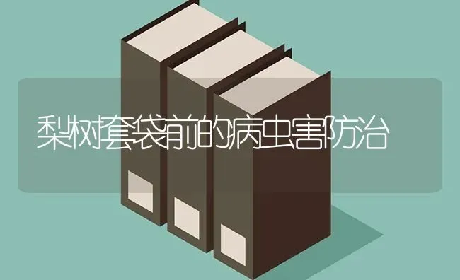梨树套袋前的病虫害防治 | 种植病虫害防治