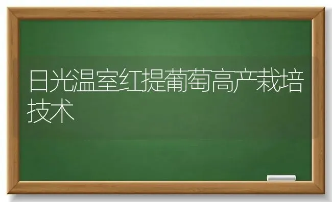 日光温室红提葡萄高产栽培技术 | 瓜果种植