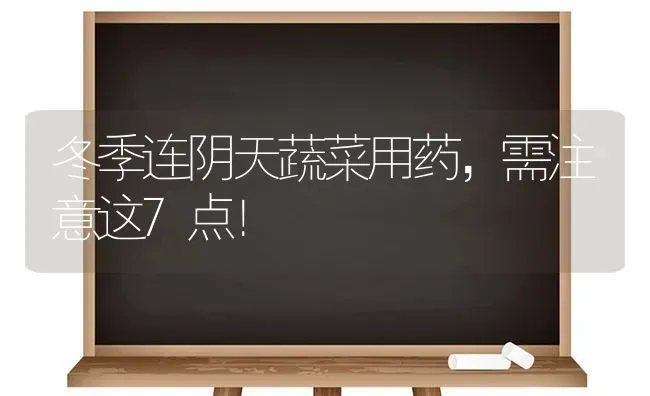 冬季连阴天蔬菜用药，需注意这7点！ | 蔬菜种植