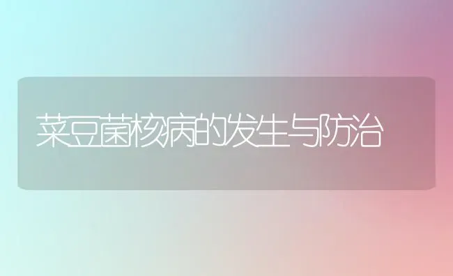 菜豆菌核病的发生与防治 | 蔬菜种植