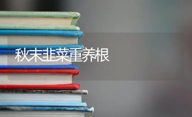 秋末韭菜重养根 | 蔬菜种植