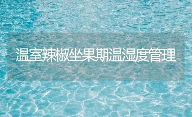 温室辣椒坐果期温湿度管理 | 瓜果种植