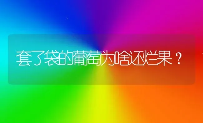 套了袋的葡萄为啥还烂果？ | 瓜果种植
