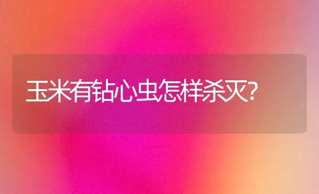 玉米有钻心虫怎样杀灭？ | 粮油作物种植