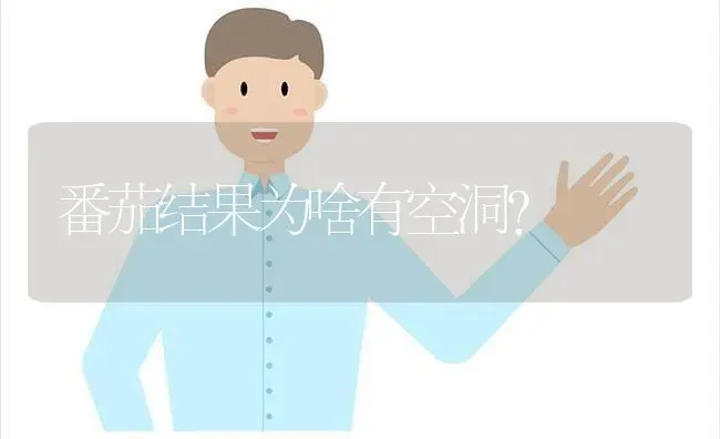 番茄结果为啥有空洞？ | 瓜果种植