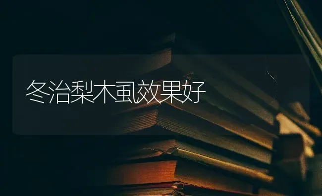 冬治梨木虱效果好 | 瓜果种植