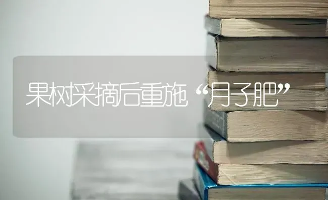 果树采摘后重施“月子肥” | 瓜果种植