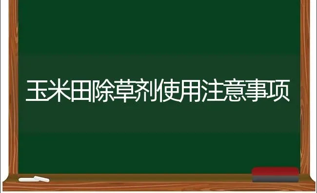 玉米田除草剂使用注意事项 | 粮油作物种植