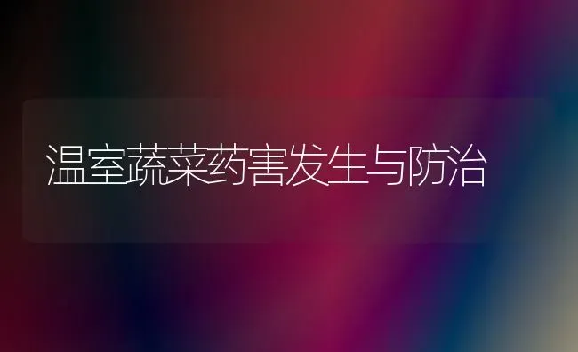 温室蔬菜药害发生与防治 | 蔬菜种植