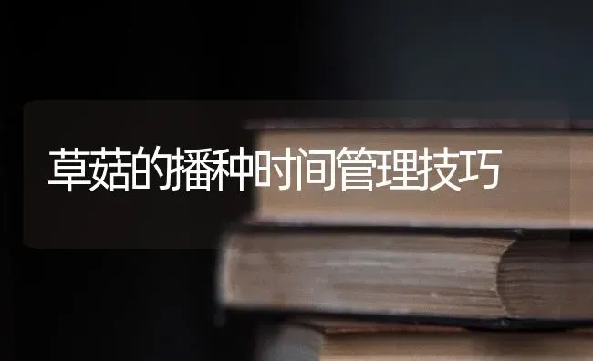 草菇的播种时间管理技巧 | 食用菌种植
