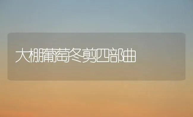 大棚葡萄冬剪四部曲 | 瓜果种植