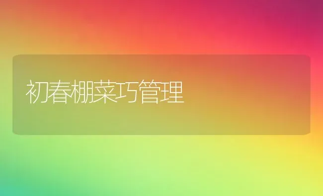 初春棚菜巧管理 | 蔬菜种植