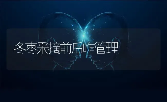 冬枣采摘前后咋管理 | 瓜果种植
