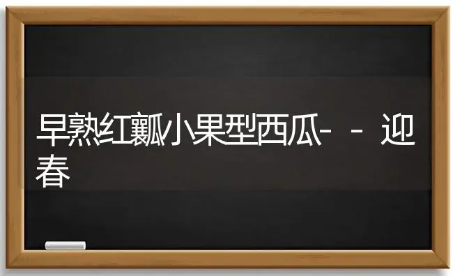 早熟红瓤小果型西瓜--迎春 | 瓜果种植