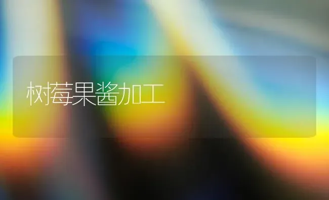 树莓果酱加工 | 瓜果种植